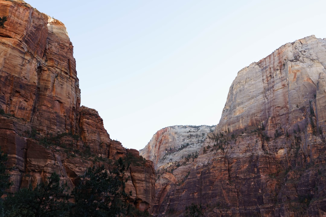Travel Tips and Stories of Angels Landing in United States