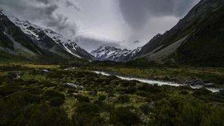 A serene Himalayan valley showing native plants like jatamansi with a subtle scientific overlay representing gene pool data.