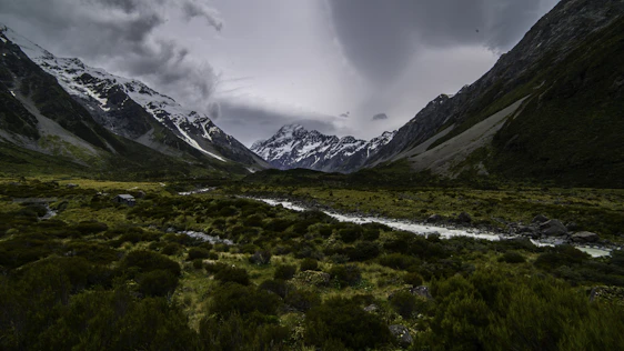 A serene Himalayan valley showing native plants like jatamansi with a subtle scientific overlay representing gene pool data.