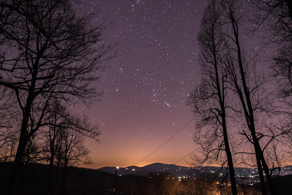 cosmic view during night time