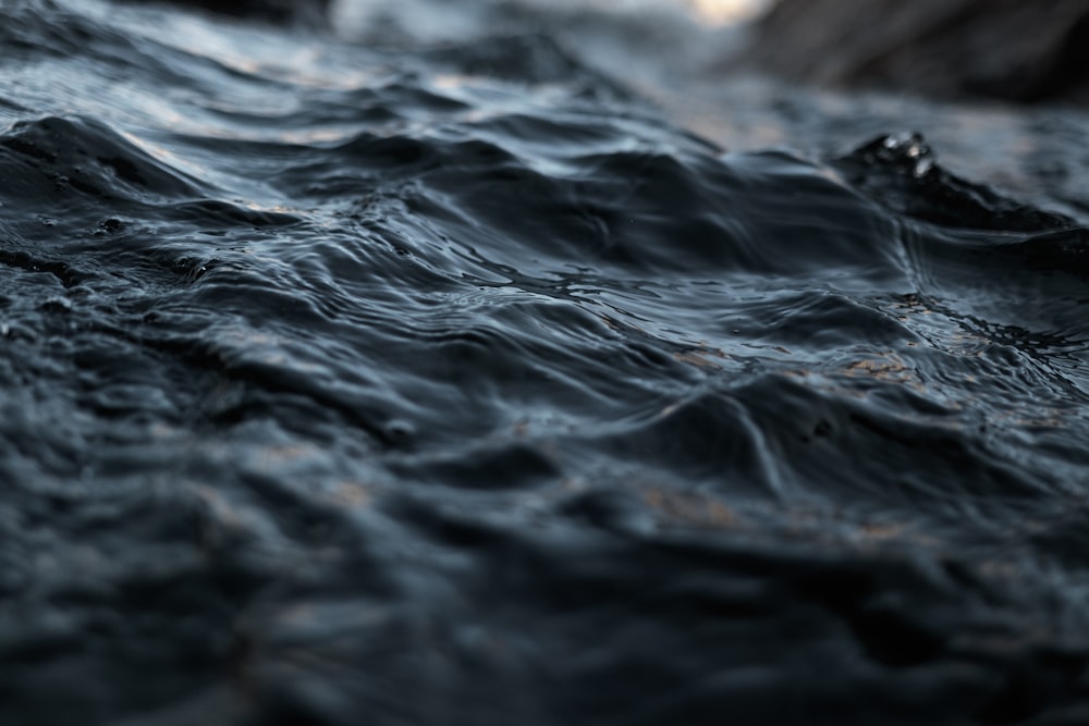 closeup photo of body of water