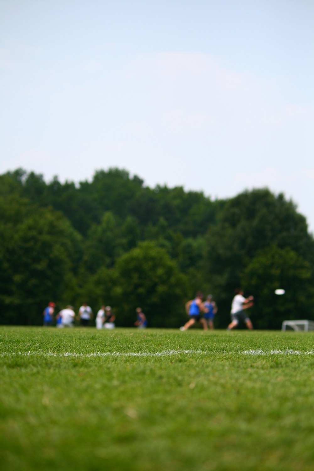 group of people on green grass field during daytime