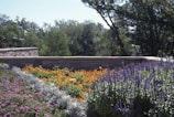 A custom landscape design featuring vibrant plants and stone pathways.