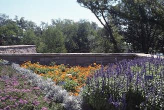 A vibrant garden landscape featuring clusters of different flowers in various colors. Purple, orange, and pink flowers are arranged in sections, bordered by a stone wall. Lush green trees provide a natural backdrop.