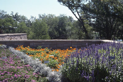 A vibrant garden landscape showcasing partnership opportunities.
