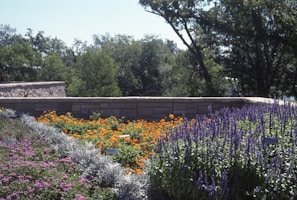 A custom landscape design featuring vibrant plants and stone pathways.