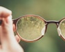 person holding brown eyeglasses with green trees background