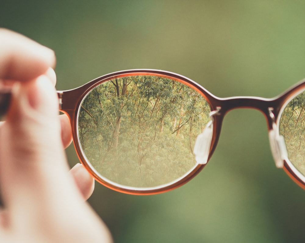 persona que sostiene anteojos marrones con fondo de árboles verdes