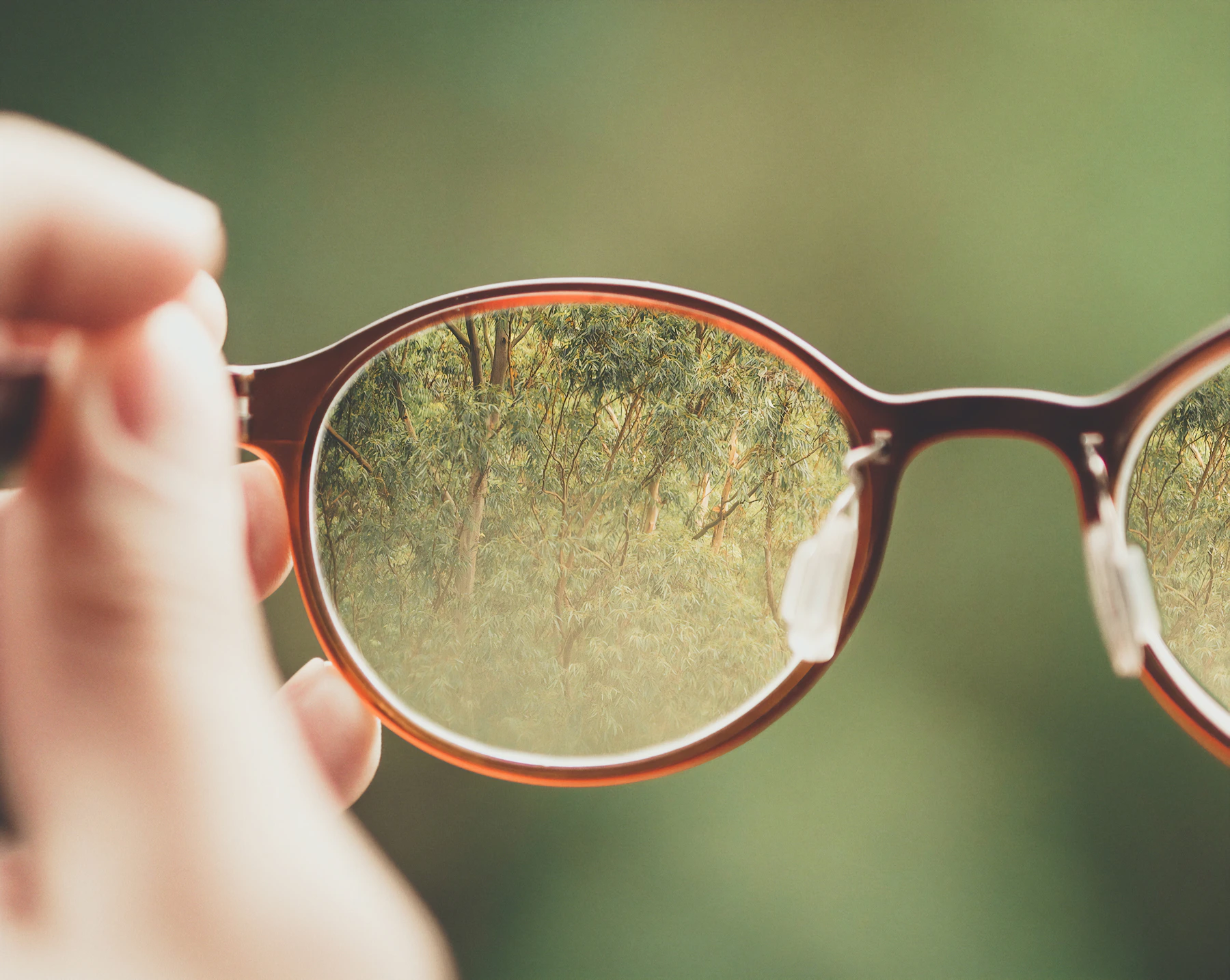 Modern eyewear lifestyle with refined optical styling