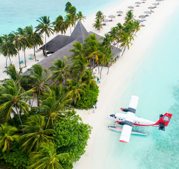 plane parked beside the trees on seashore
