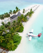 A secluded tropical island features a line of palm trees along a white sandy beach, with thatched roof structures integrated into the lush greenery. A seaplane is docked on the clear turquoise water near the shore, and a row of umbrellas with loungers extend along the beach.