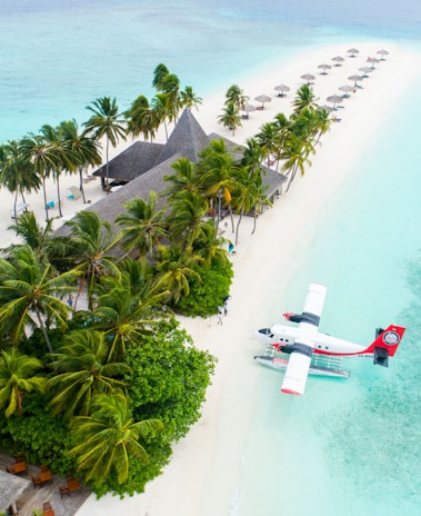 A secluded tropical island features a line of palm trees along a white sandy beach, with thatched roof structures integrated into the lush greenery. A seaplane is docked on the clear turquoise water near the shore, and a row of umbrellas with loungers extend along the beach.