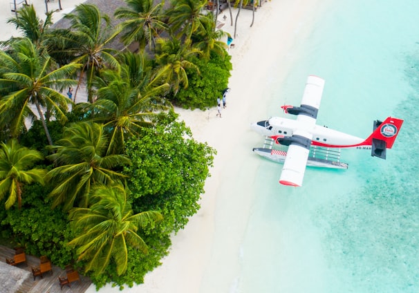 plane parked beside the trees on seashore