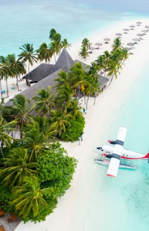 plane parked beside the trees on seashore