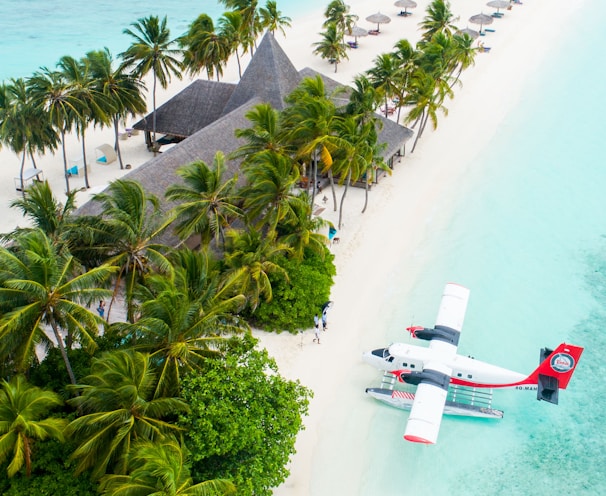 plane parked beside the trees on seashore