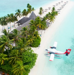 plane parked beside the trees on seashore