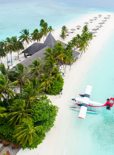 plane parked beside the trees on seashore