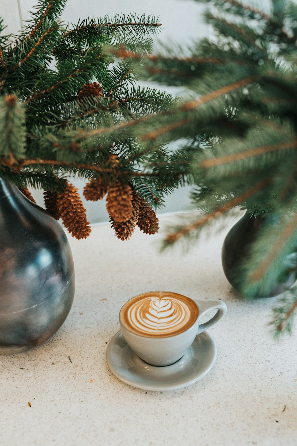 white ceramic coffee mug on saucer in front green leaves