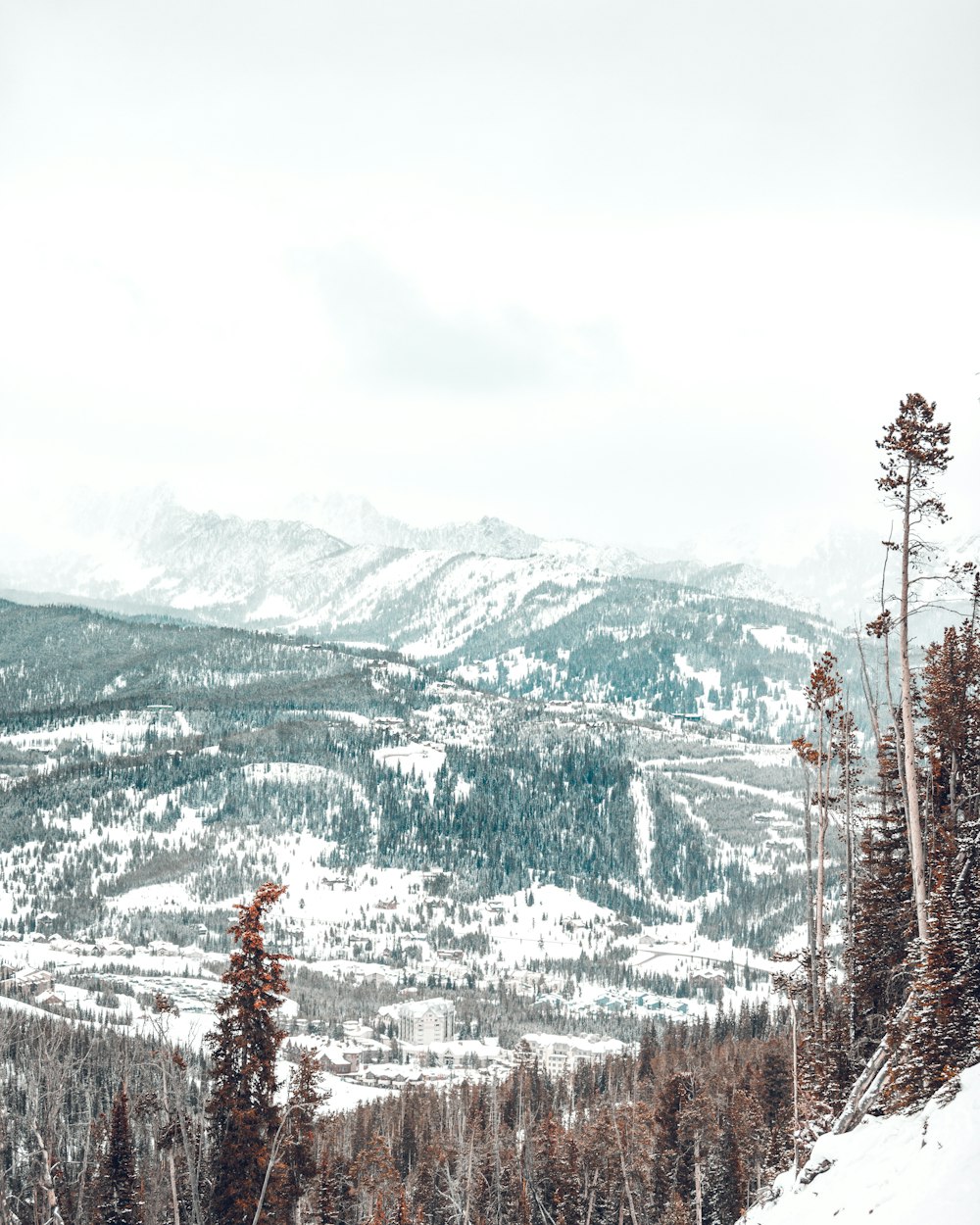 aerial view of mountains and trees during daytime