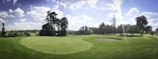 A wide, lush green golf course with a well-manicured fairway and putting green. Tall trees are scattered throughout the landscape, casting shadows under a bright blue sky filled with fluffy white clouds. A sand bunker is visible near the putting green.