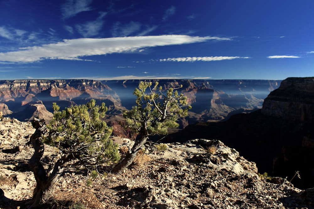 a view of the grand canyon from the edge of a cliff