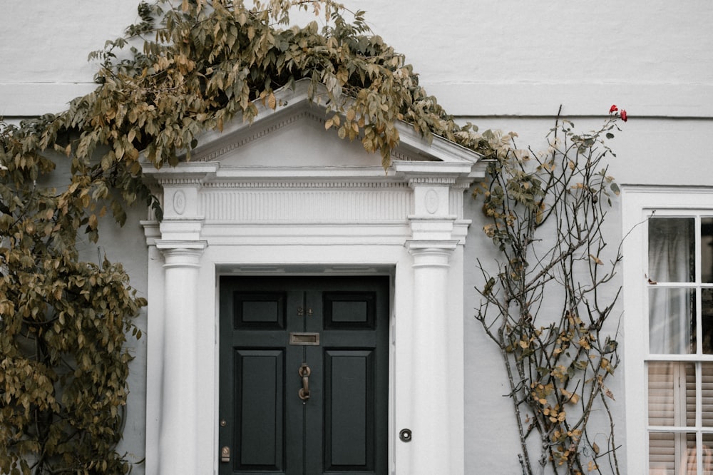 black wooden door