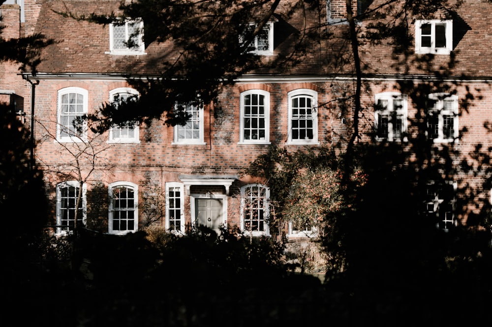 silhouette of trees near house