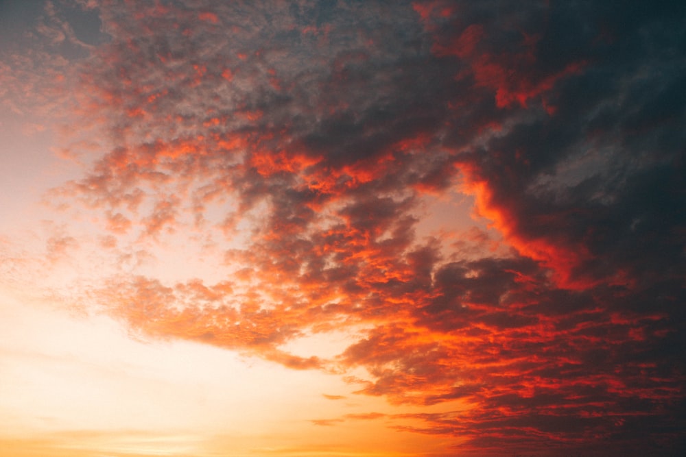 cumulus clouds