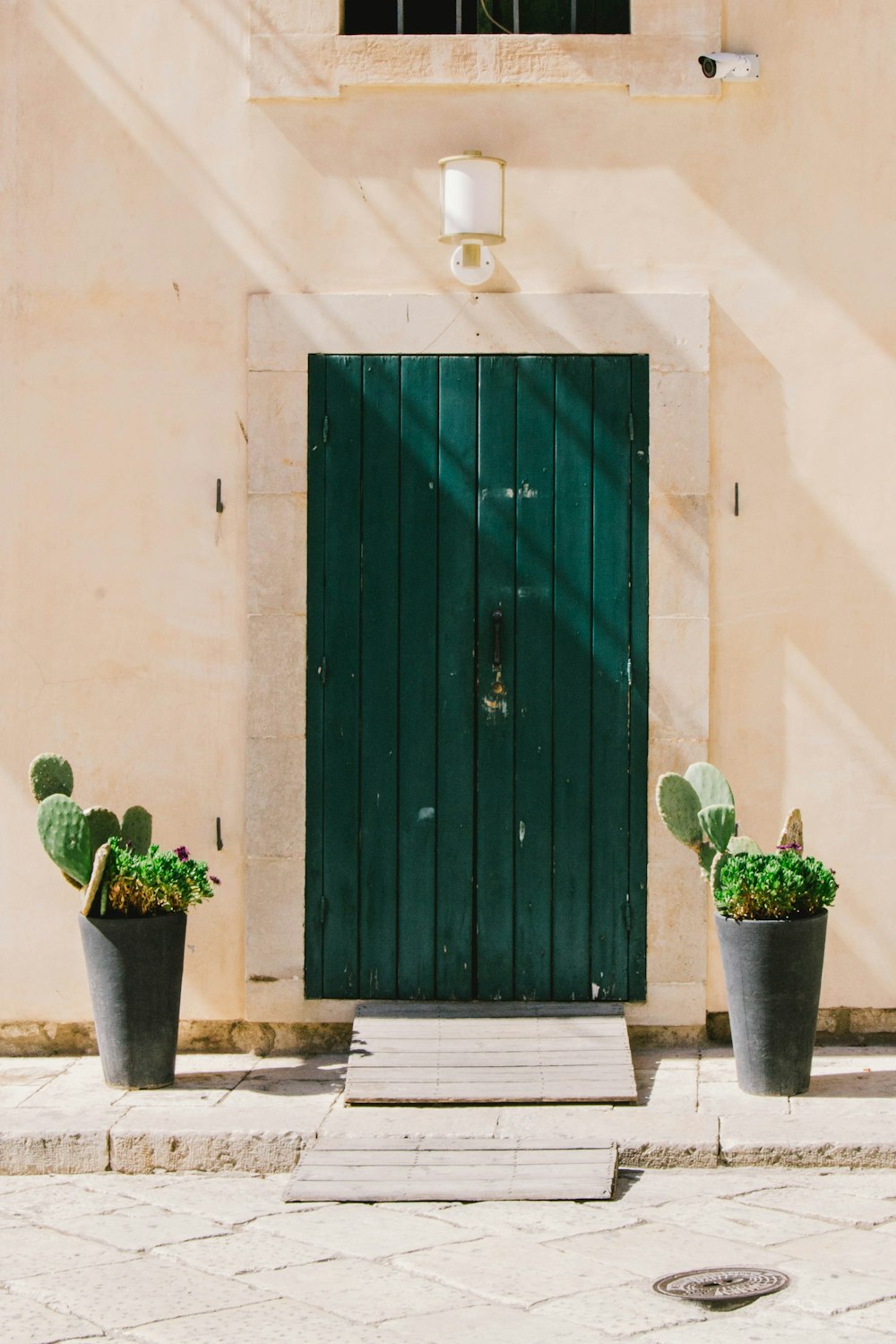 green cactus plant near green door