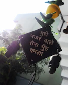 G Raju Guru Ji offering blessings to a client seeking protection from black magic and curses