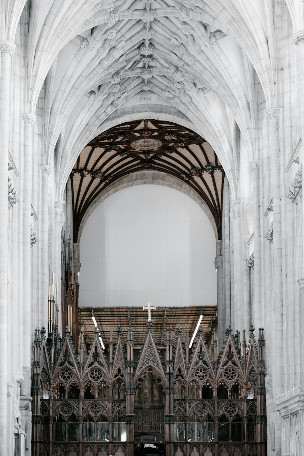 Techo blanco de la catedral