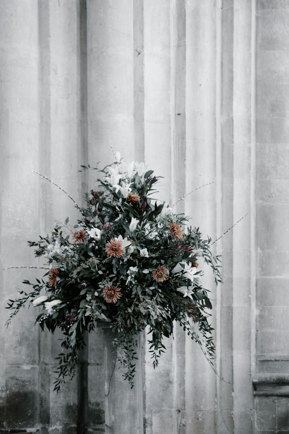 fleurs blanches et brunes sur le mur