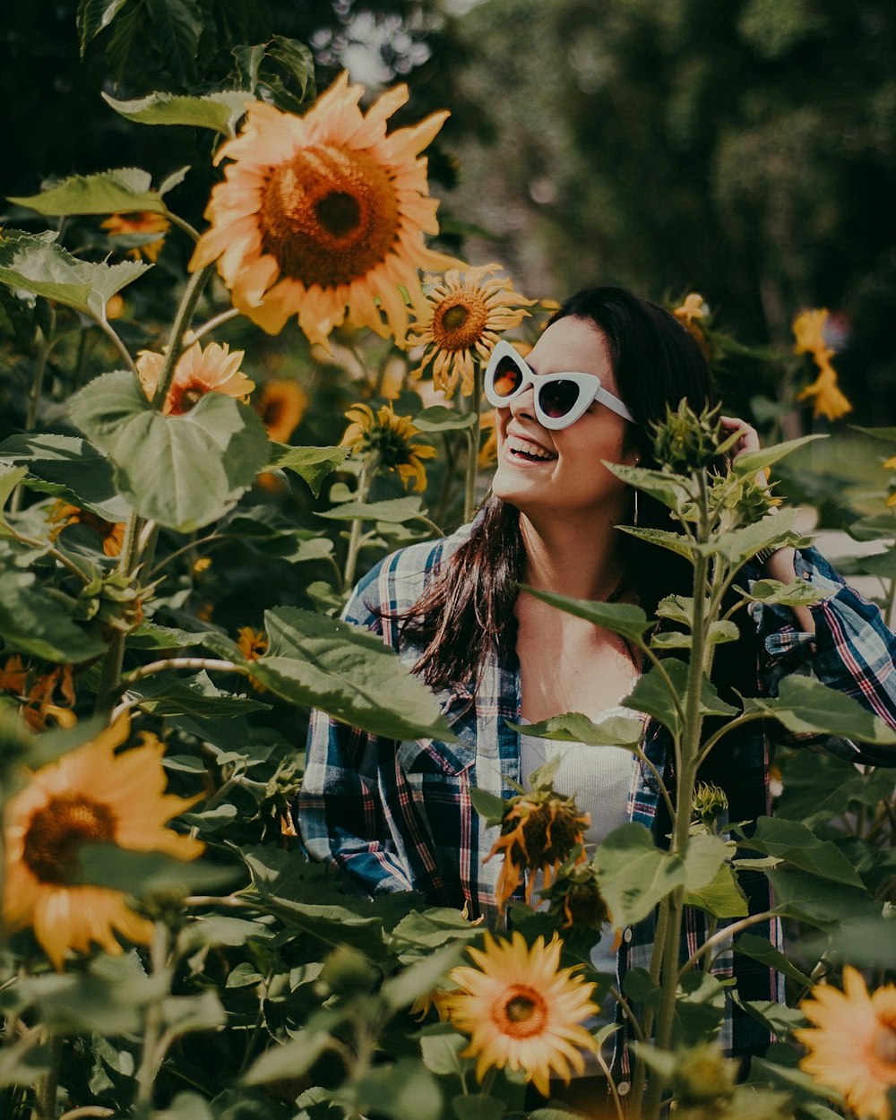 photo of woman surrounded with sunflower