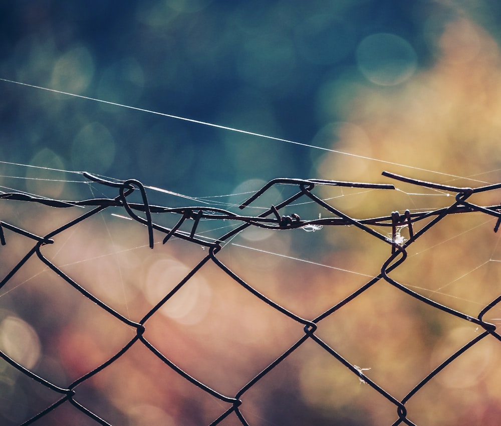 a close up of a wire fence with a blurry background
