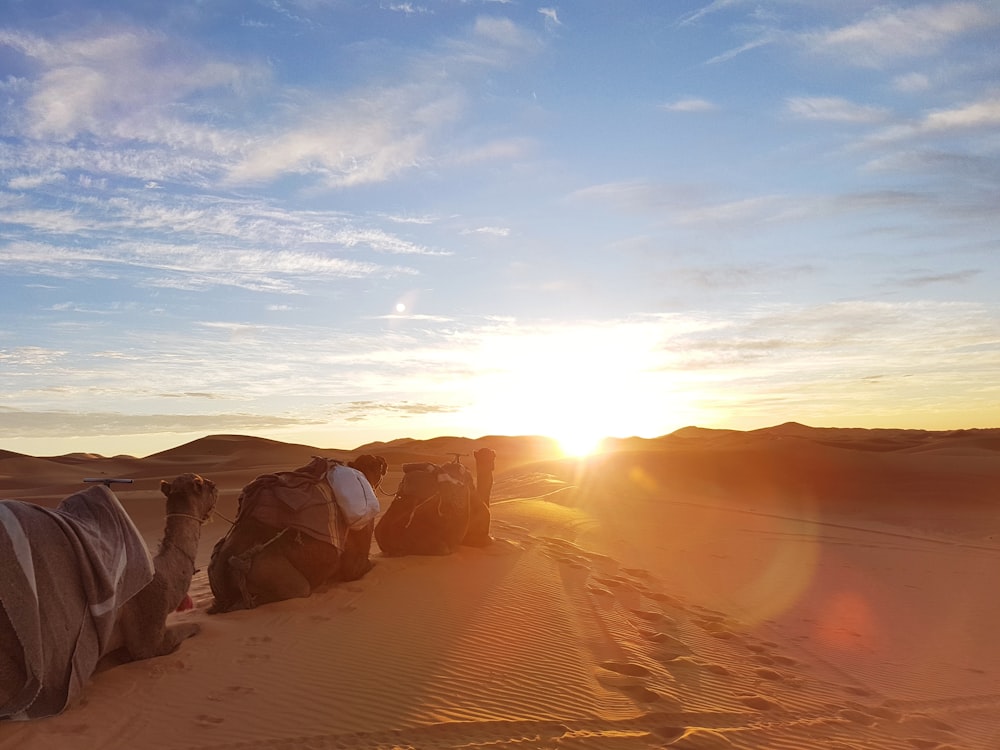 a group of people sitting on top of a desert