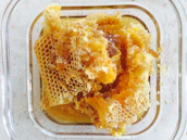 Golden honey dripping from a fresh honeycomb held by a smiling beekeeper.