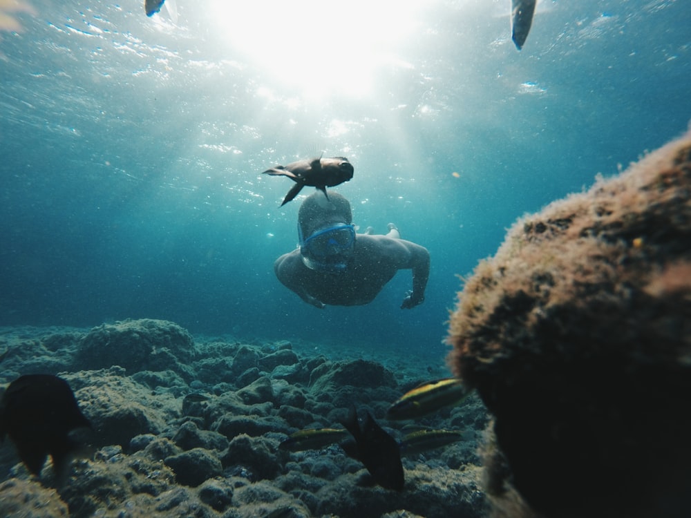homem mergulha sob corpo de água azul