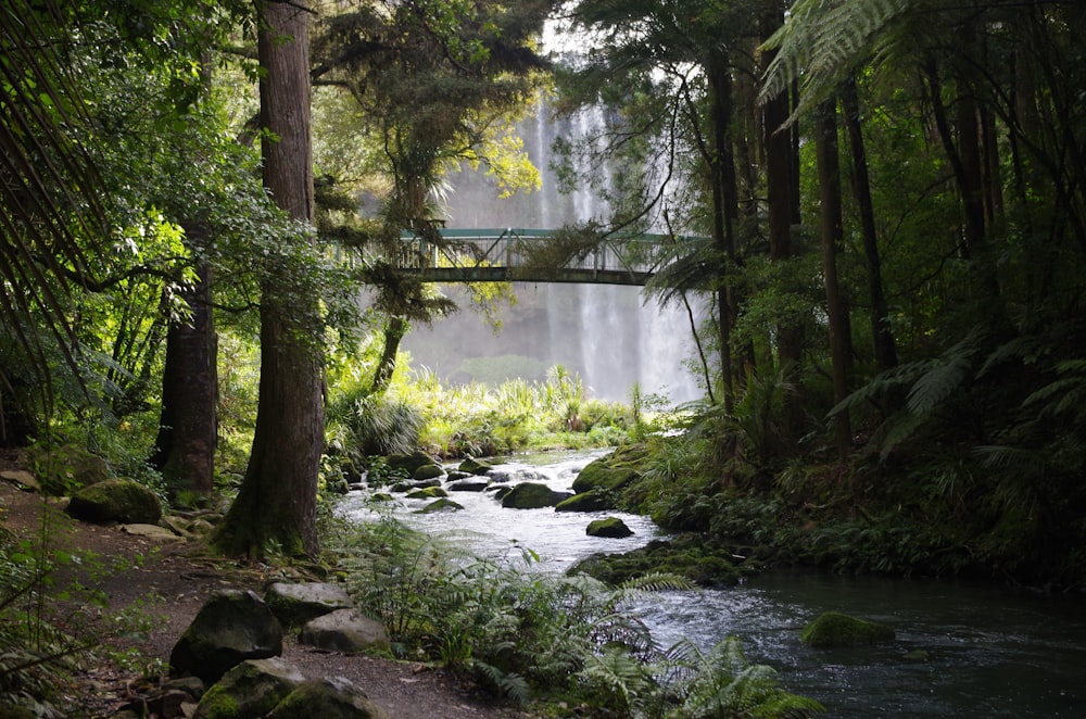 bridge across of river