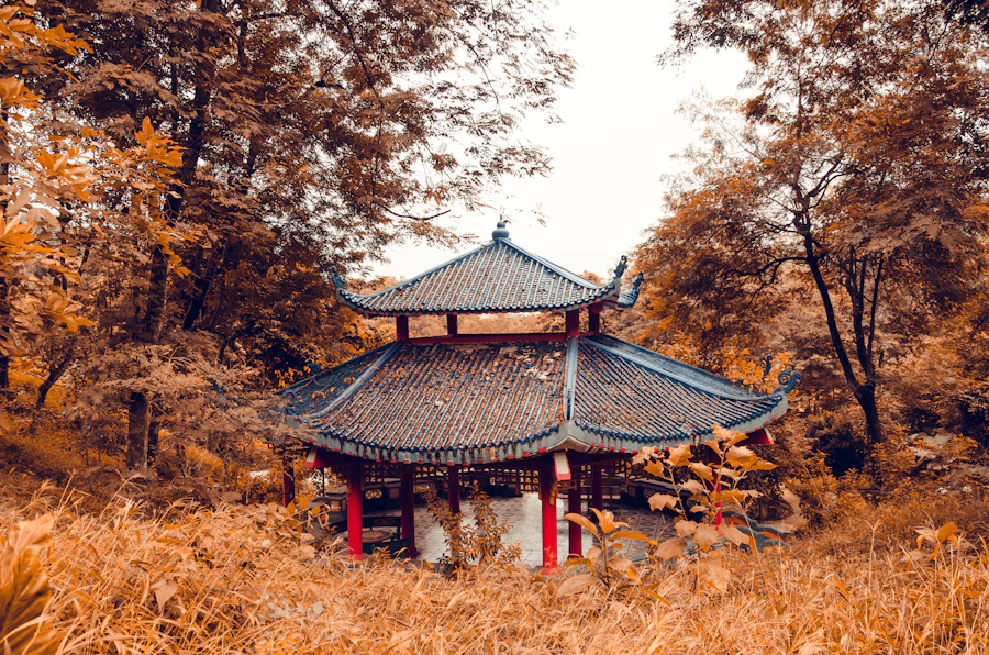 Ngôi chùa cổ Hàn Quốc giữa cây xanh
