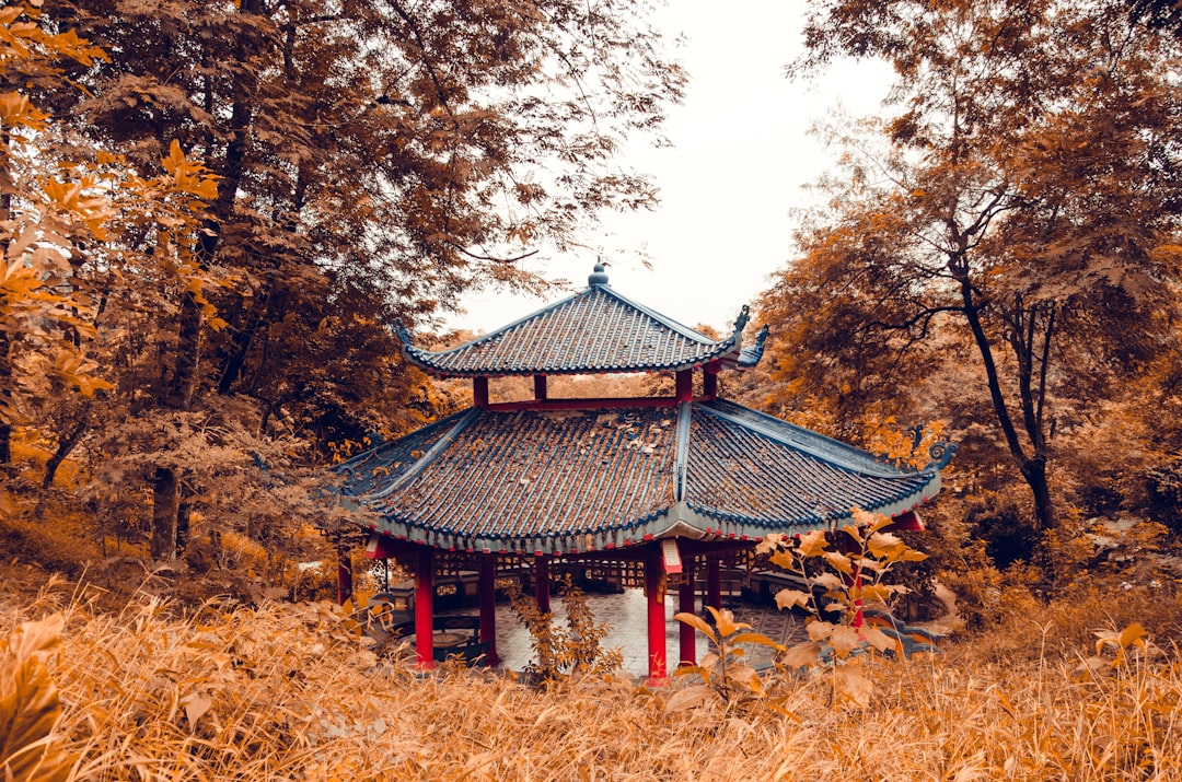 pagoda temple surrounded by trees