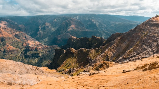 hills during daytime in Waimea Canyon State Park United States