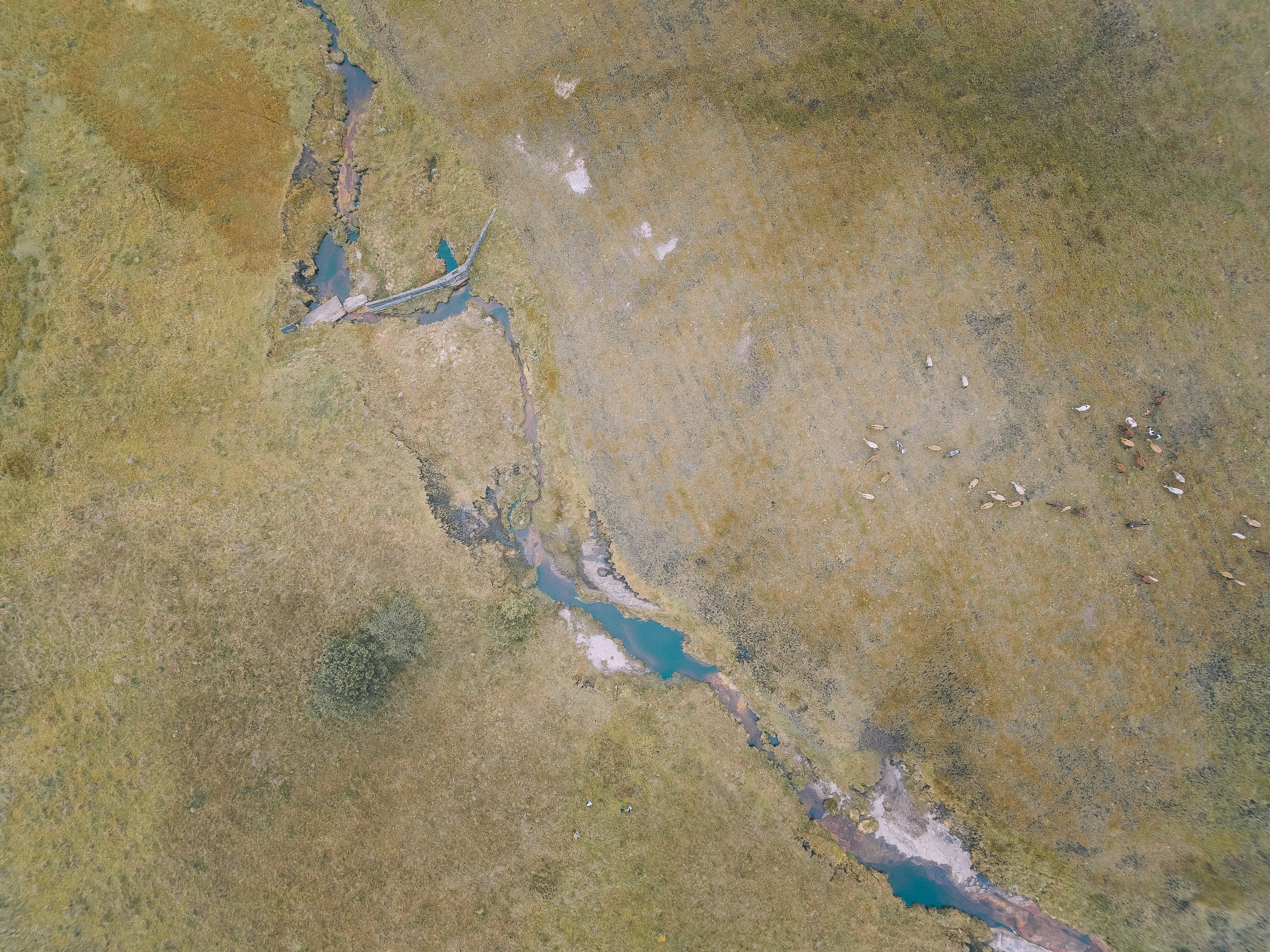 Photo by felipecarvalhoco