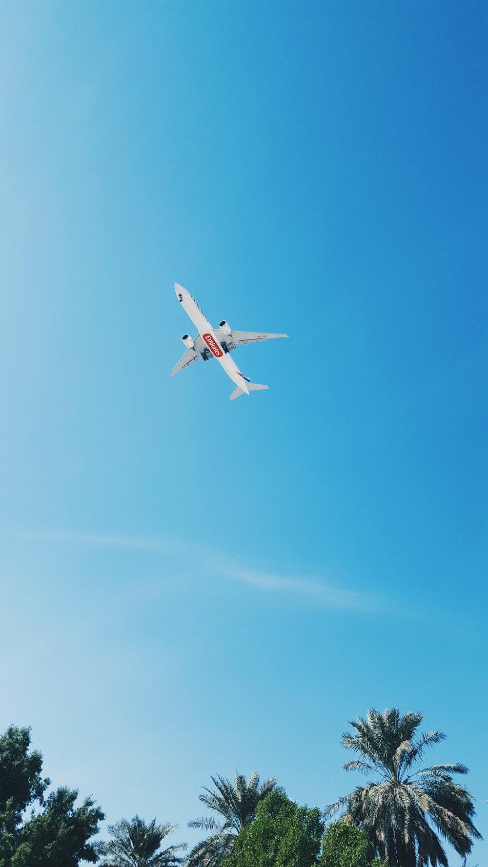 空を飛ぶ白い旅客機