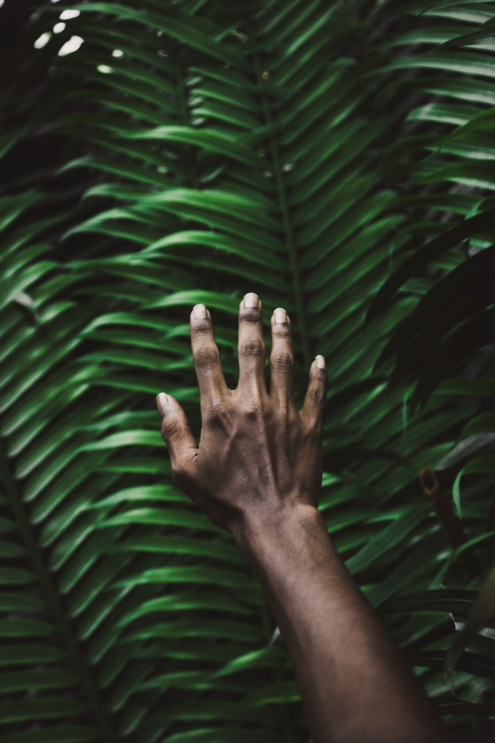 la mano derecha de la persona