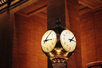 Aging Clocks, Cellular Noise, and cellular rejuvenation: A New Frontier in Anti-Aging Research