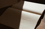 An open notebook showing layered sketches and notes illuminated by warm natural light.