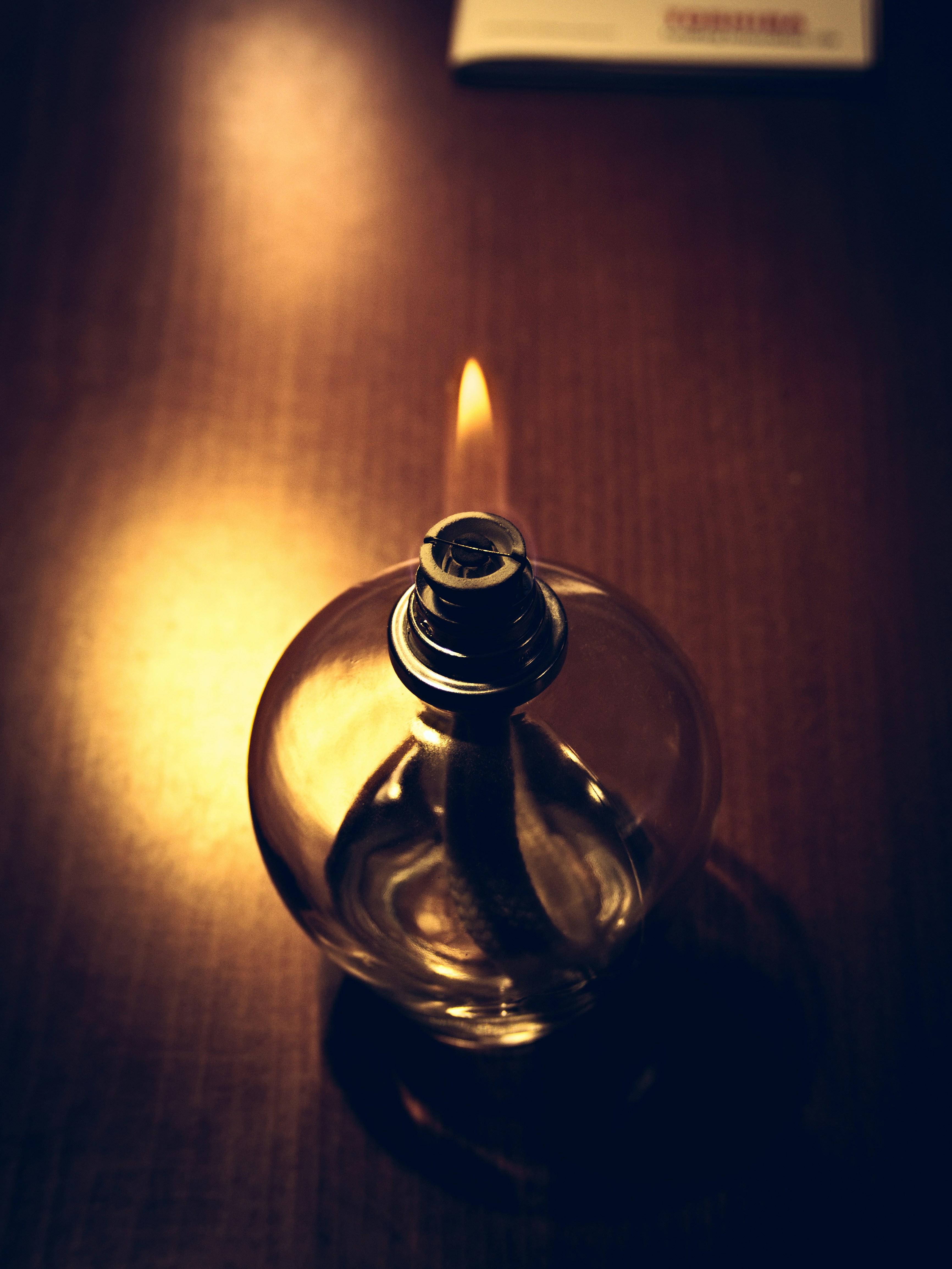 The Mathematical Rules That Govern Every Food Chain