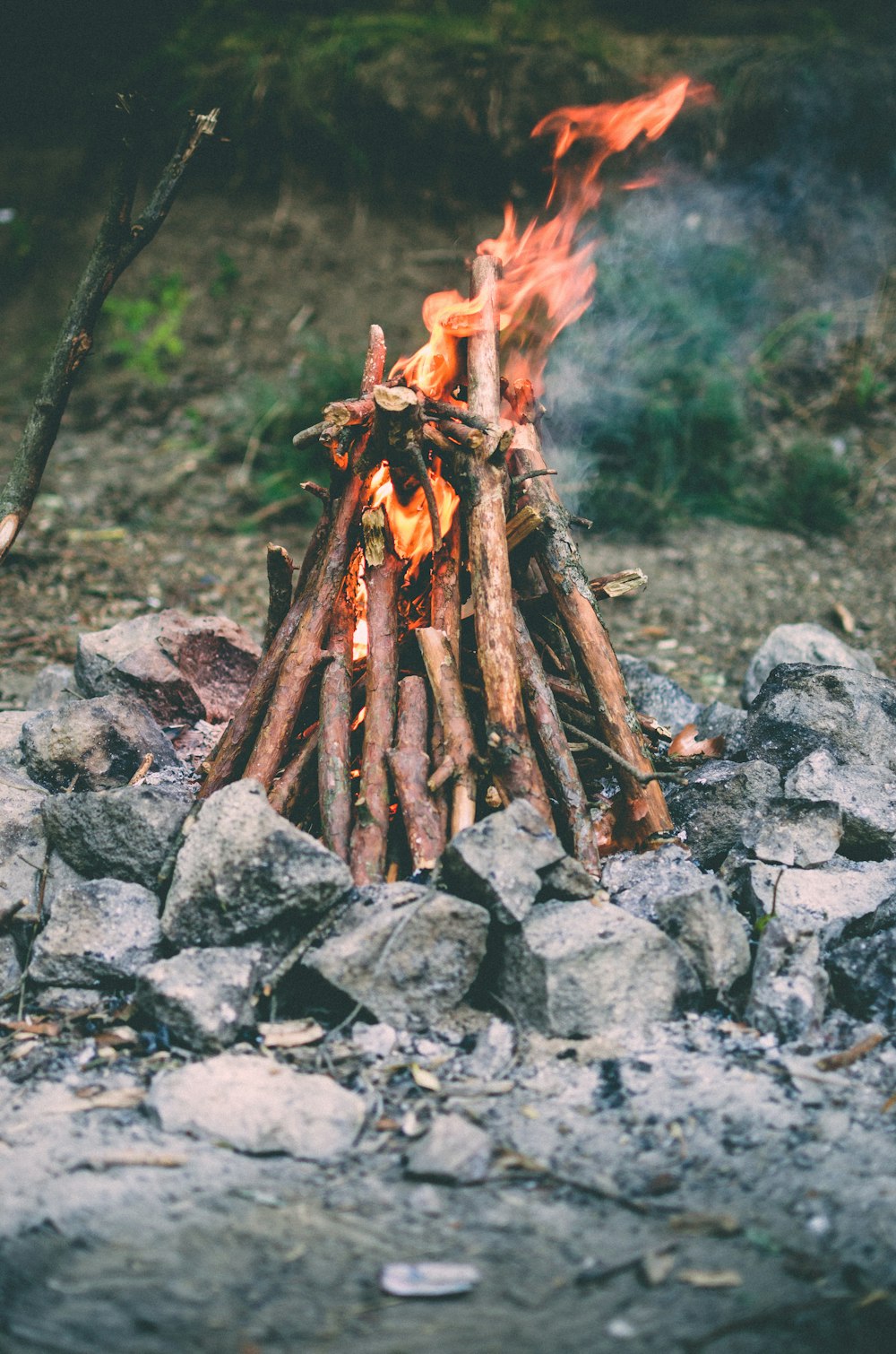 close up photo of bonfire outdoor