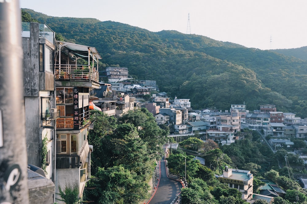 日中の住宅近くの山の眺め