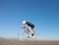 man riding on gray road bicycle during daytime